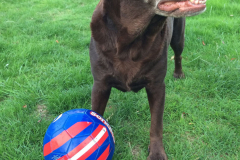 coco